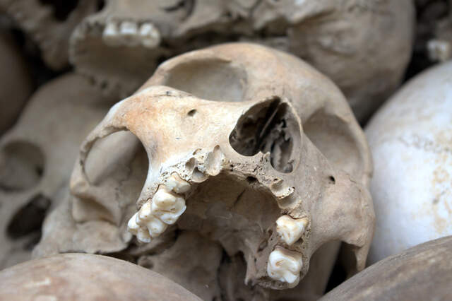 Обои 2025-11-10 №74463