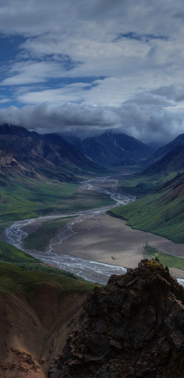 Обои 2025-11-10 №74490