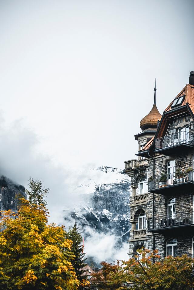 Обои 2025-11-10 №74509