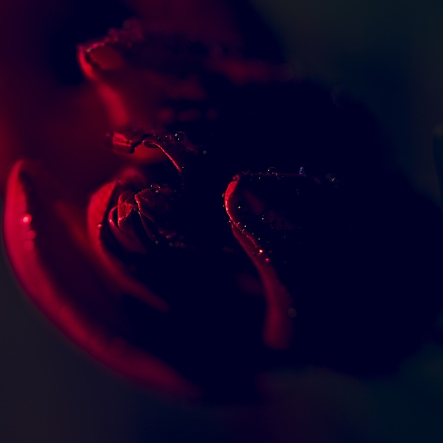 Обои 2025-11-11 №74532