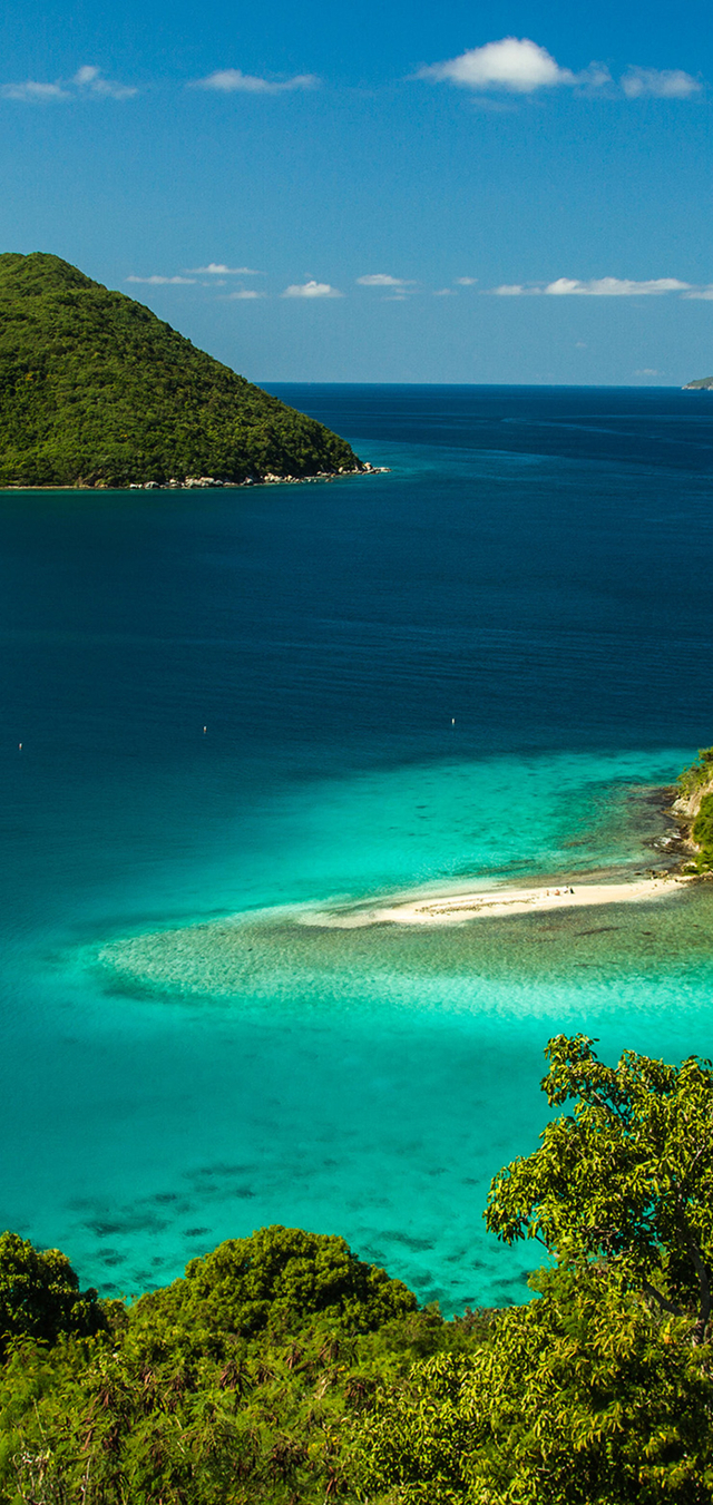 Обои 2025-11-11 №74536