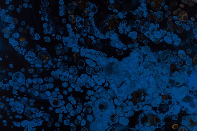 Обои 2025-11-11 №74539