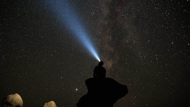 Обои 2025-11-11 №74596