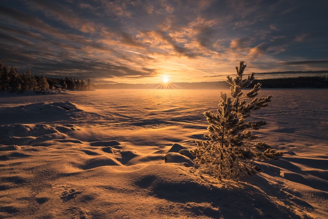 Обои 2025-11-11 №74592