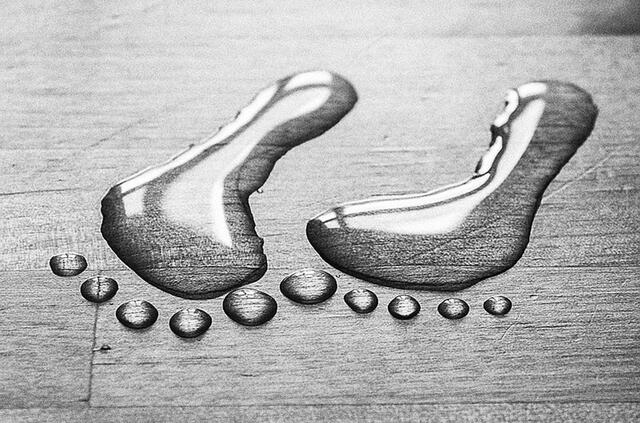 Обои 2025-11-12 №74623