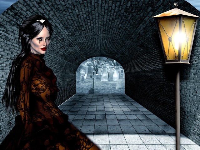 Обои 2025-11-12 №74647