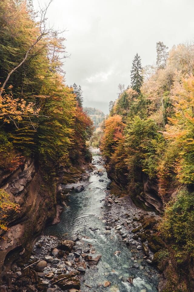 Обои 2025-11-12 №74651