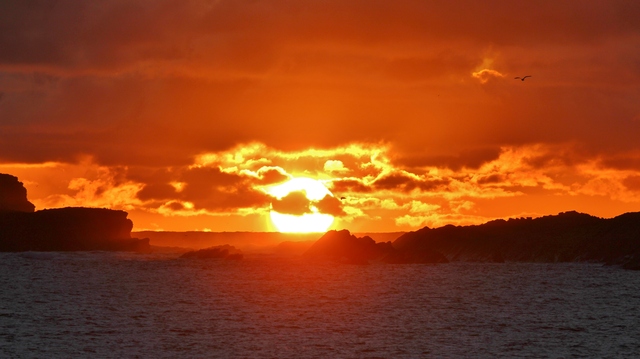 Обои 2025-11-12 №74649