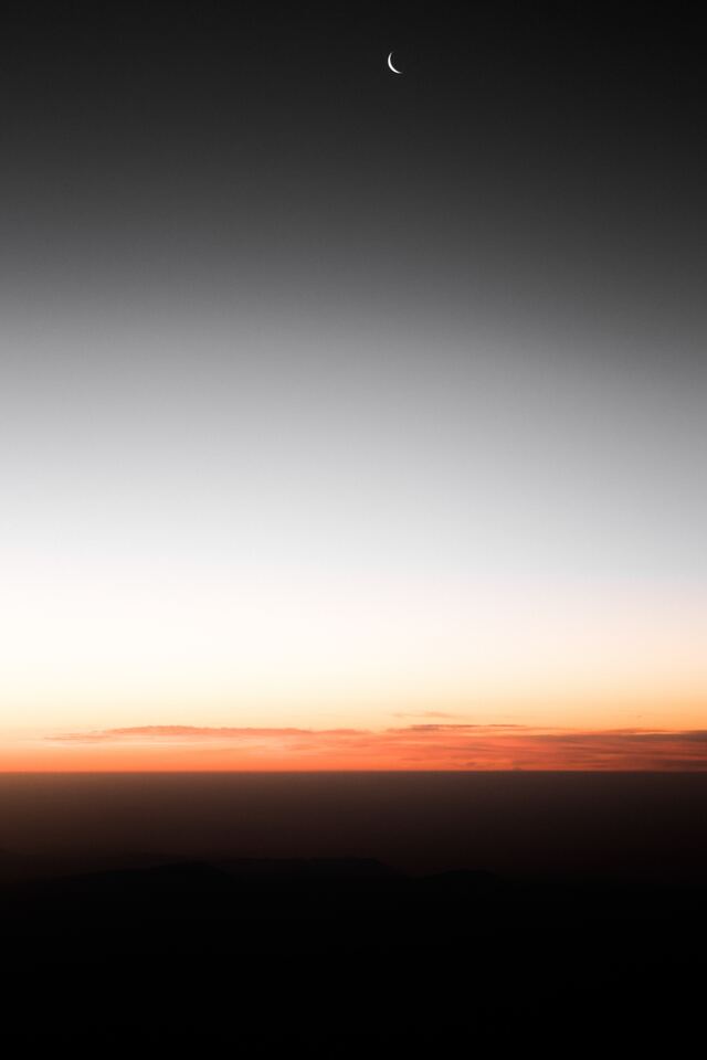 Обои 2025-11-13 №74724