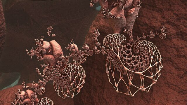 Обои 2025-11-13 №74725