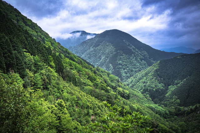 Обои 2025-11-13 №74732