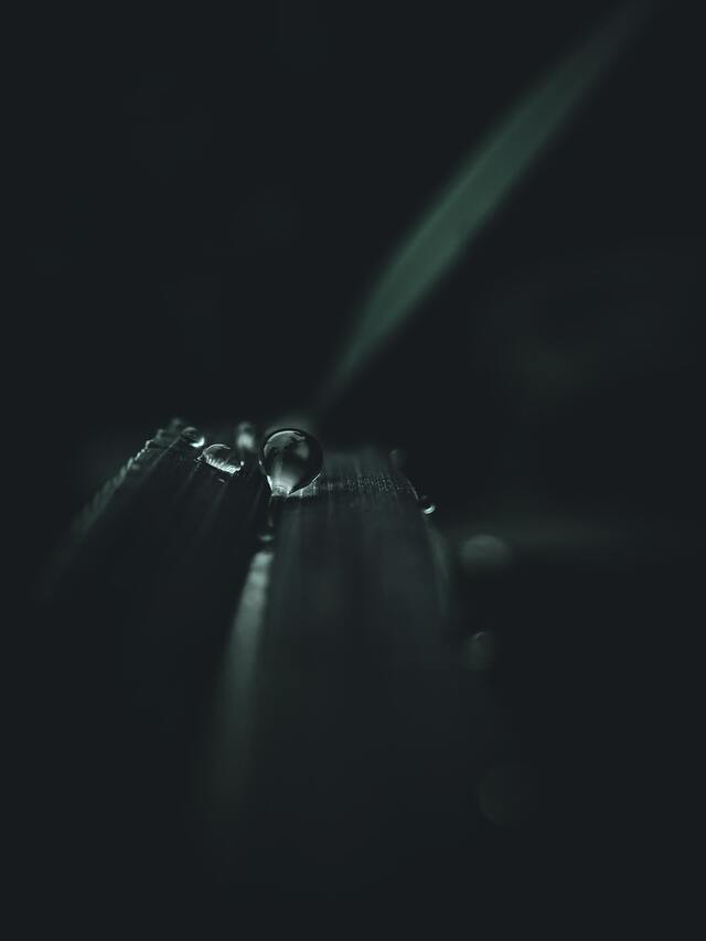 Обои 2025-11-13 №74755