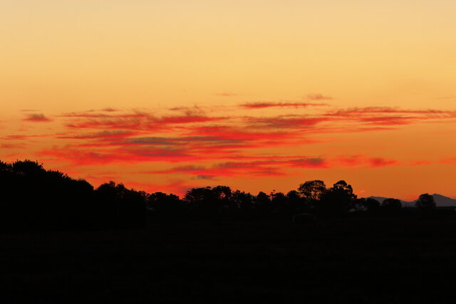 Обои 2025-11-13 №74751