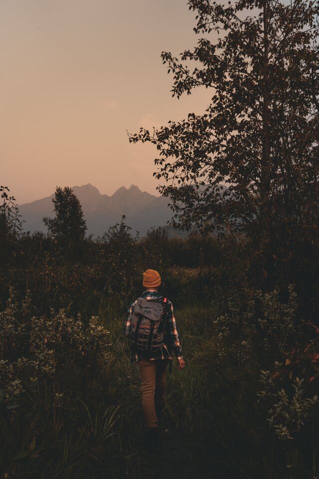 Обои 2025-11-13 №74750