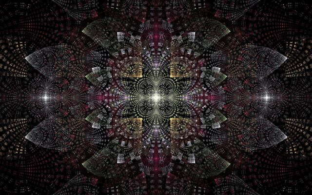 Обои 2025-11-14 №74812