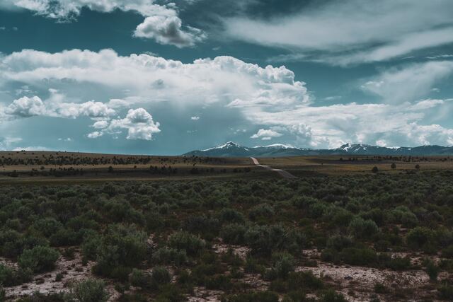 Обои 2025-11-14 №74806