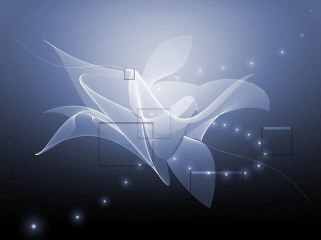 Обои 2025-11-14 №74808