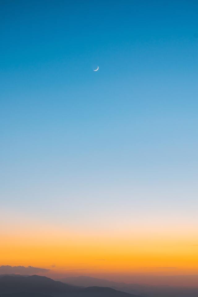 Обои 2025-11-14 №74814