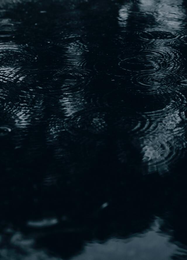 Обои 2025-11-14 №74835