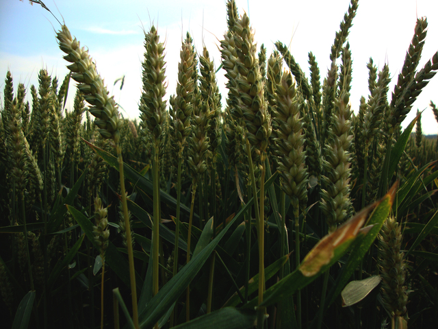 Обои 2025-11-14 №74830