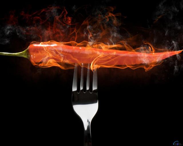 Обои 2025-11-15 №74851