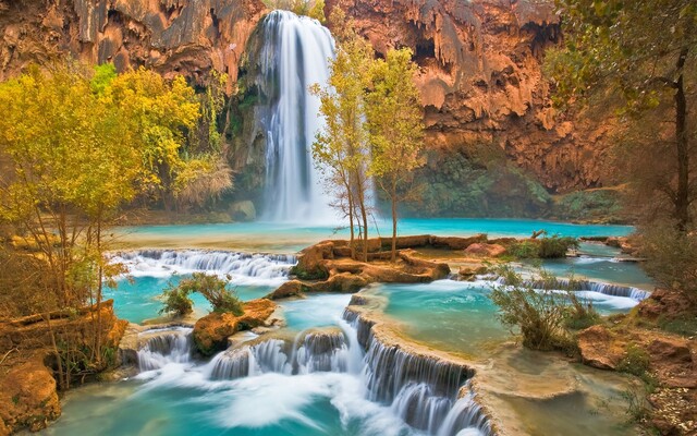 Обои 2025-11-15 №74841