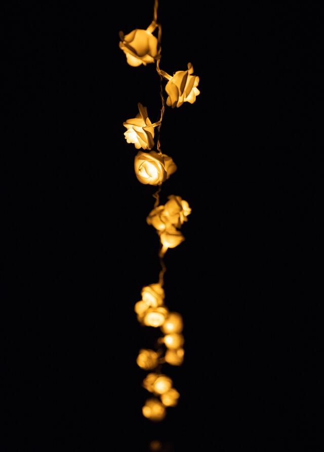 Обои 2025-11-15 №74875