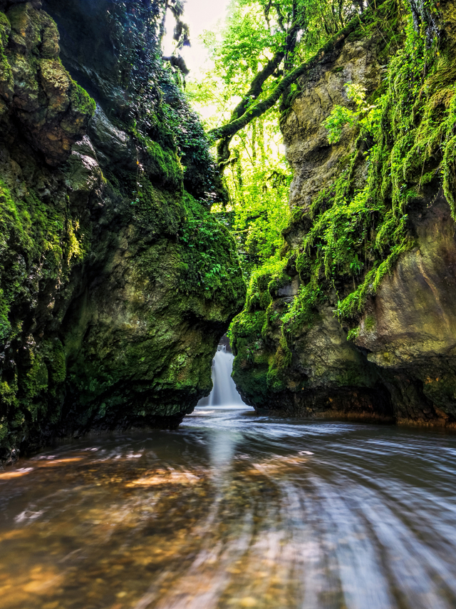 Обои 2025-11-15 №74878