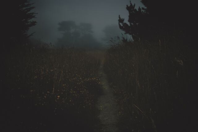 Обои 2025-11-16 №74937