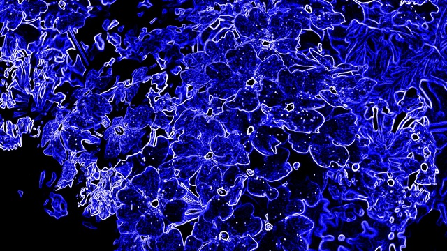 Обои 2025-11-16 №74957