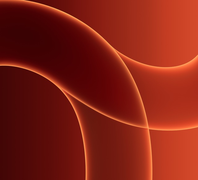 Обои 2025-11-16 №74961