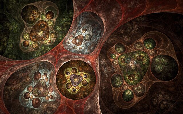 Обои 2025-11-16 №74977