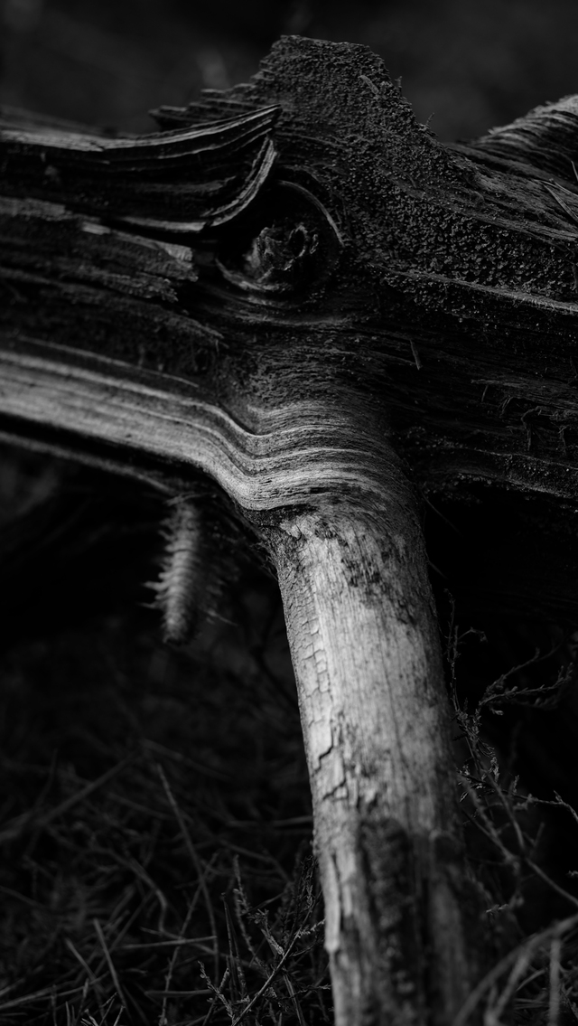 Обои 2025-11-16 №74970