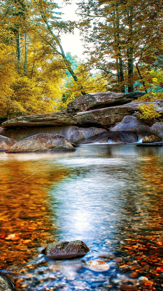 Обои 2025-11-17 №74993