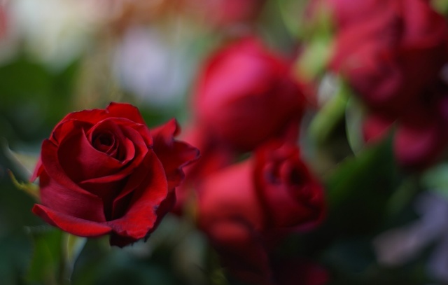 Обои 2025-11-17 №74990