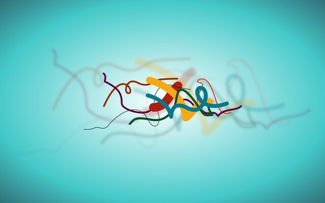 Обои 2025-11-17 №75014