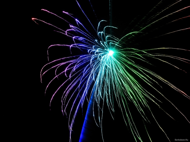 Обои 2025-11-17 №75018