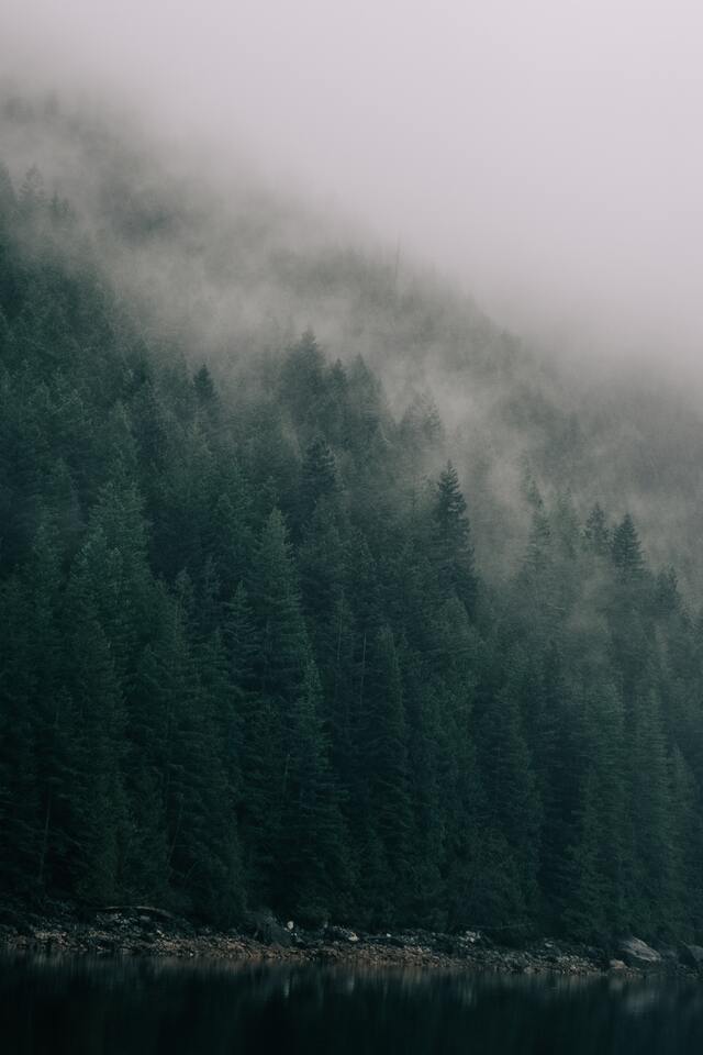 Обои 2025-11-17 №75028