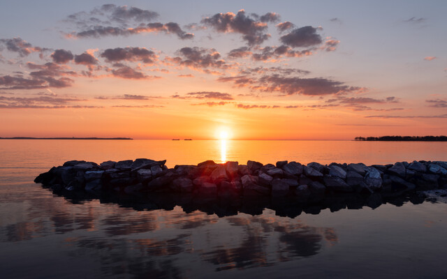 Обои 2025-11-17 №75026