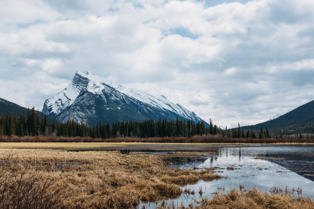 Обои 2025-11-17 №75069