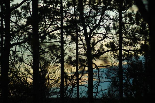 Обои 2025-11-18 №75107