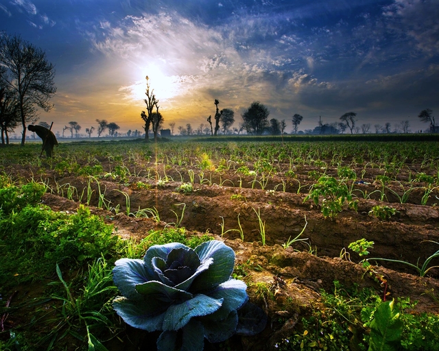 Обои 2025-11-18 №75146