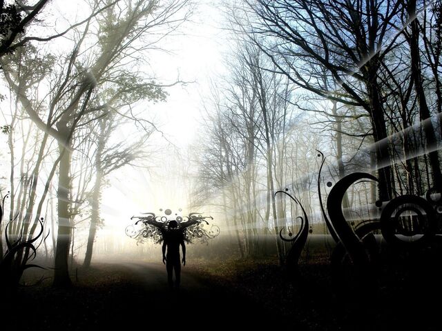 Обои 2025-11-19 №75161