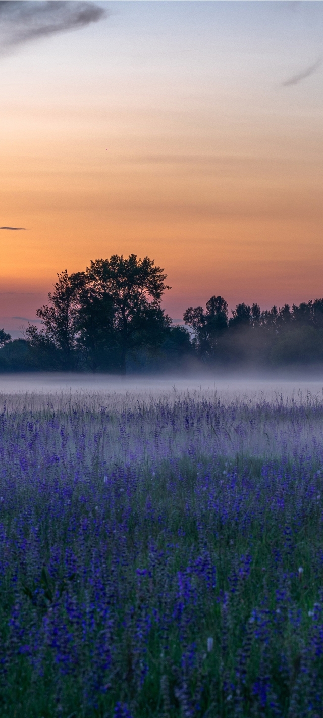 Обои 2025-11-19 №75156