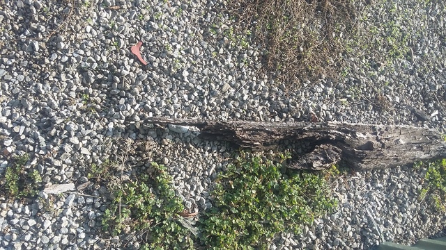 Обои 2025-11-19 №75155