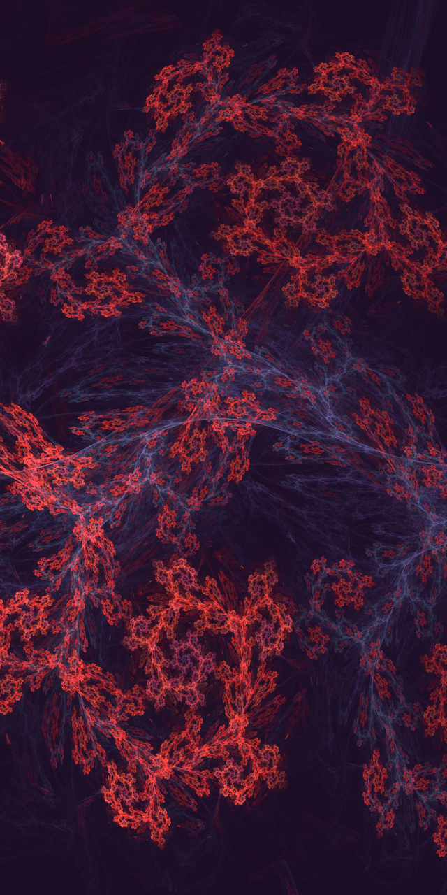 Обои 2025-11-19 №75174