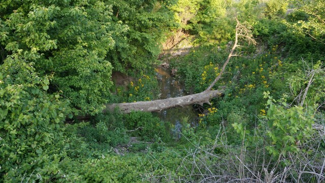 Обои 2025-11-19 №75172