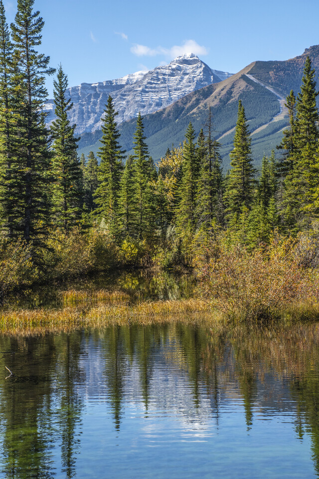 Обои 2025-11-19 №75184