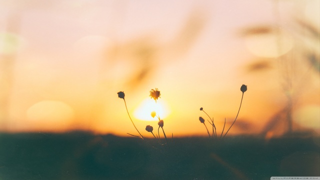 Обои 2025-11-19 №75194