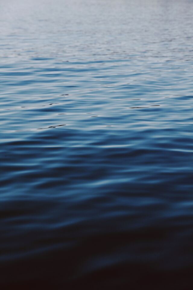 Обои 2025-11-19 №75207